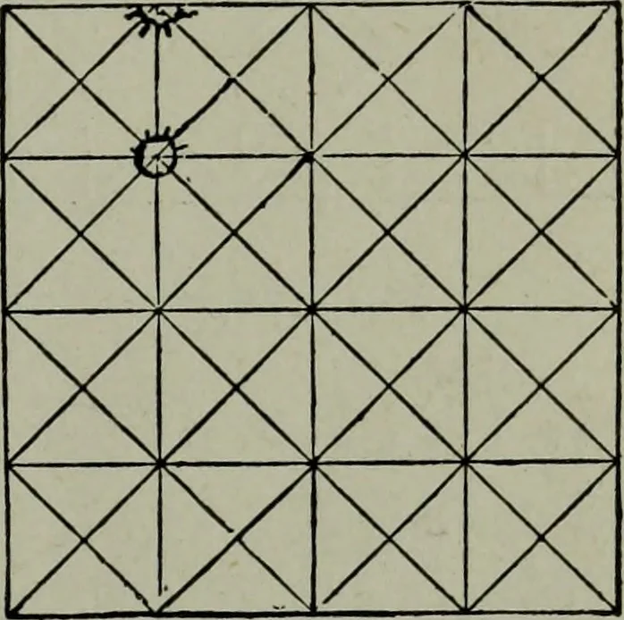 An illustration from Builder's architectural drawing self-taught : containing descriptions of drawing instruments and accessories, with rules for using them, and hints as to their care and management ..., 1903, leaf 210