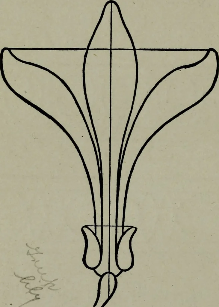 An illustration from Builder's architectural drawing self-taught : containing descriptions of drawing instruments and accessories, with rules for using them, and hints as to their care and management ..., 1903, leaf 228
