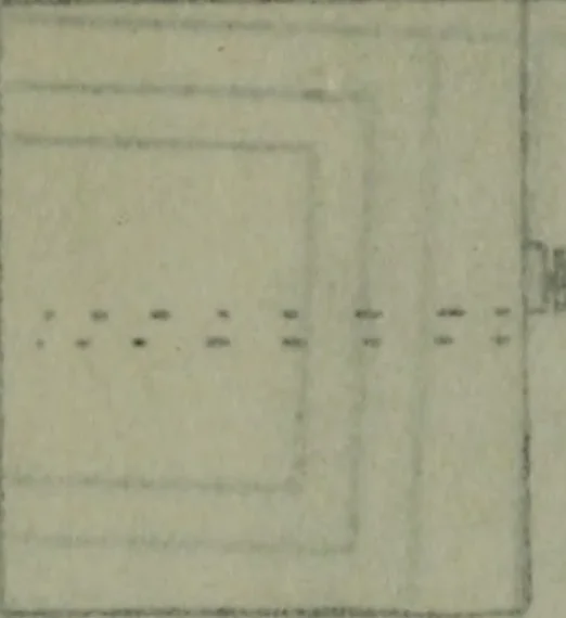 An illustration from Builder's architectural drawing self-taught : containing descriptions of drawing instruments and accessories, with rules for using them, and hints as to their care and management ..., 1903, leaf 286