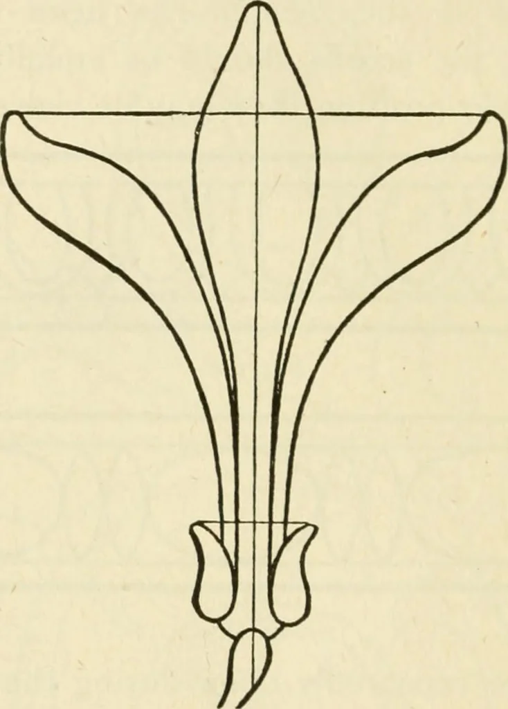 An illustration from Builders' architectural drawing self-taught : containing descriptions of drawing instruments and accessories, with rules for using them, and hints as to their care and management ..., 1917, leaf 209