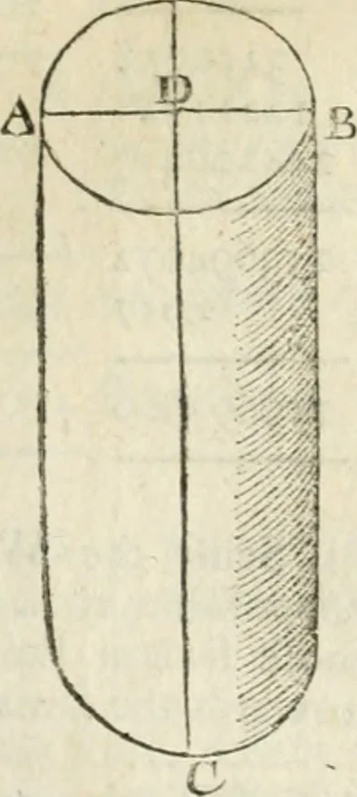 An illustration from The builder's dictionary, or, Gentleman and architect's companion : explaining not only the terms of art in all the several parts of architecture, but also containing the theory and practice of the various branches thereof ... : also necessary problems in arithmetic, geometry, mechanics, perspective, hydraulics, and other mathematical sciences : together with the quantities proportions, and prices of all kinds of materials used in building ..., 1734, leaf 309
