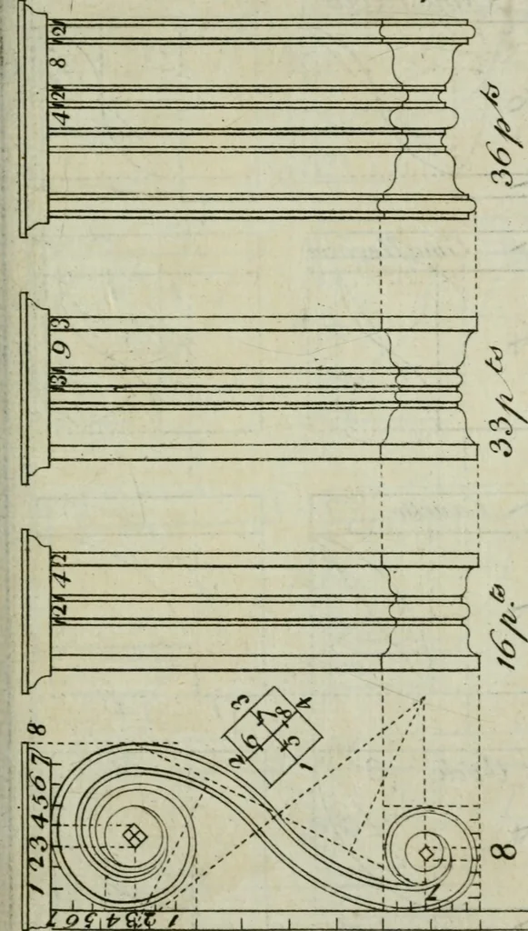 An illustration from The builder's director, or bench-mate : being a pocket-treasury of the Grecian, Roman and Gothic orders of architecture ... : wherein the orders of Andrea Palladio are truly laid down, free from erroneous measures ..., 1751, leaf 142