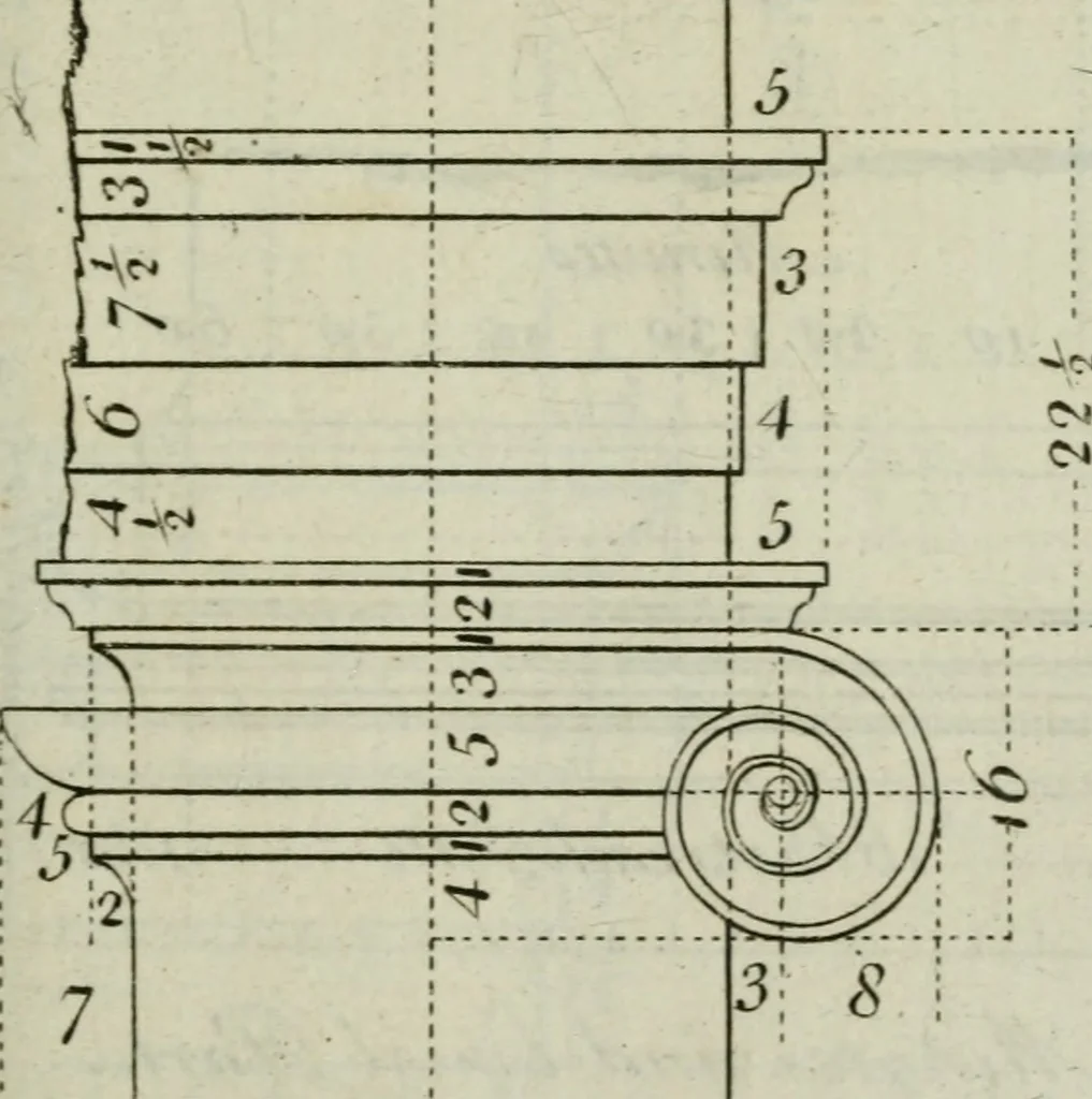 An illustration from The builder's director, or bench-mate : being a pocket-treasury of the Grecian, Roman and Gothic orders of architecture ... : wherein the orders of Andrea Palladio are truly laid down, free from erroneous measures ..., 1751, leaf 56