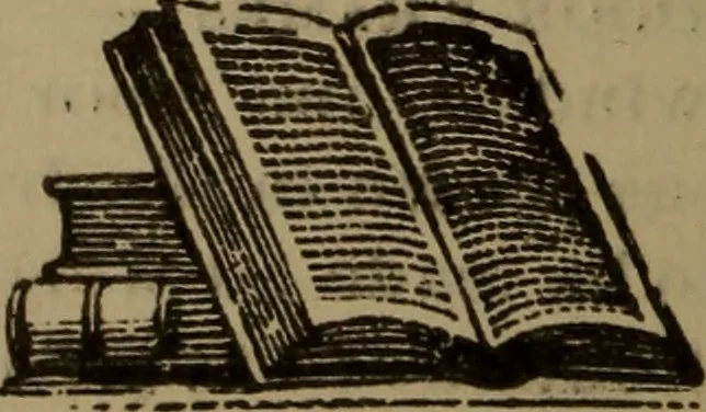 An illustration from Builders' guide and pocket companion, 1885, leaf 37