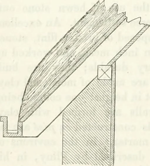 An illustration from The builder's practical director; or, Buildings for all classes, containing plans, sections and elevations for the erection of cottages, villas, farm buildings, dispensaries, public schools, &c., with detailed estimates, quantities, prices, &c. .., 1855, leaf 209