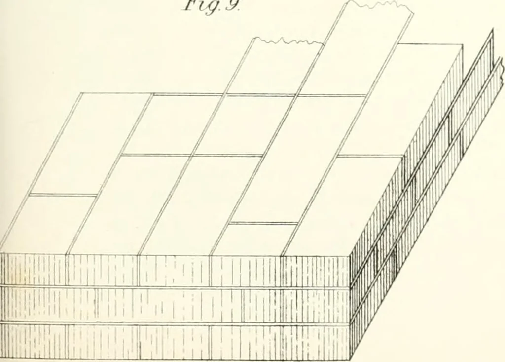 An illustration from The builder's practical director; or, Buildings for all classes, containing plans, sections and elevations for the erection of cottages, villas, farm buildings, dispensaries, public schools, &c., with detailed estimates, quantities, prices, &c. .., 1855, leaf 234