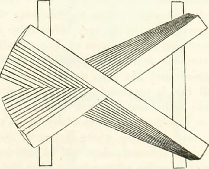 An illustration from The builder's practical director; or, Buildings for all classes, containing plans, sections and elevations for the erection of cottages, villas, farm buildings, dispensaries, public schools, &c., with detailed estimates, quantities, prices, &c. .., 1855, leaf 312