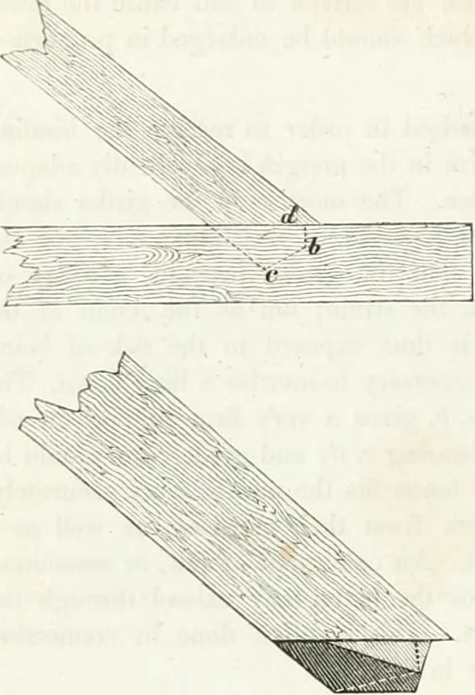 An illustration from The builder's practical director; or, Buildings for all classes, containing plans, sections and elevations for the erection of cottages, villas, farm buildings, dispensaries, public schools, &c., with detailed estimates, quantities, prices, &c. .., 1855, leaf 369