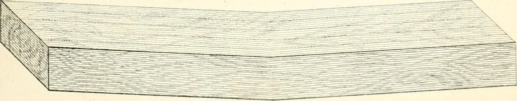 An illustration from The builder's practical director; or, Buildings for all classes, containing plans, sections and elevations for the erection of cottages, villas, farm buildings, dispensaries, public schools, &c., with detailed estimates, quantities, prices, &c. .., 1855, leaf 58