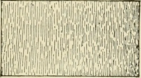 An illustration from Building construction and superintendence, by F.E. Kidder ..., 1896, leaf 166