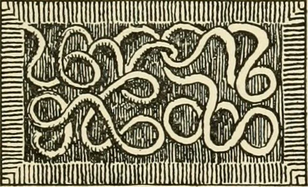 An illustration from Building construction and superintendence, by F.E. Kidder ..., 1896, leaf 166