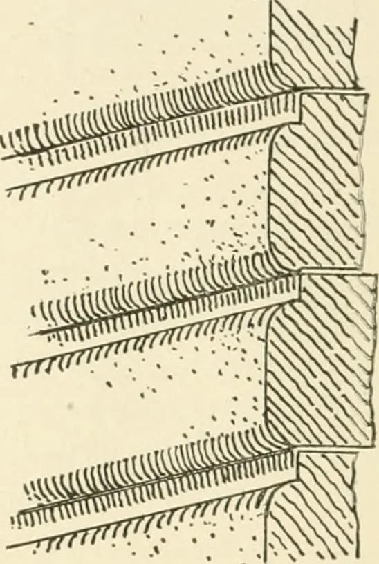 An illustration from Building construction and superintendence, by F.E. Kidder ..., 1896, leaf 167