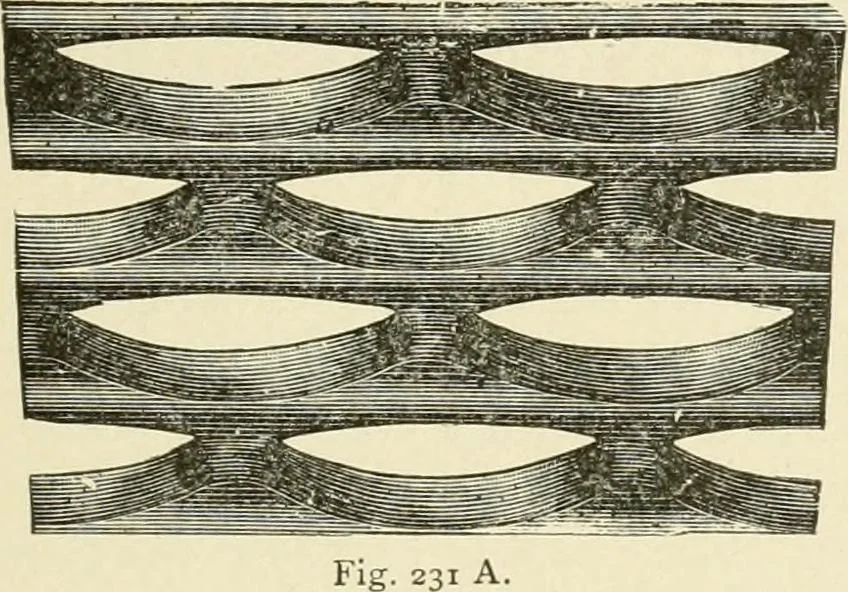 An illustration from Building construction and superintendence, by F.E. Kidder ..., 1896, leaf 340
