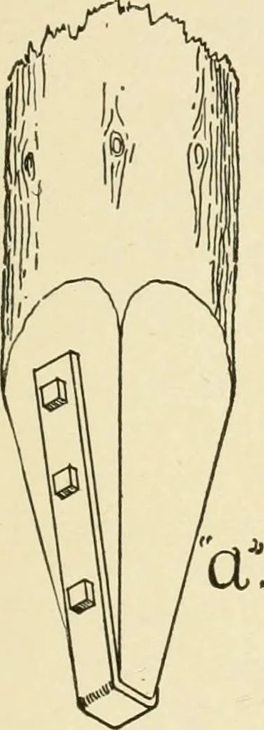 An illustration from Building construction and superintendence, by F.E. Kidder ..., 1896, leaf 38