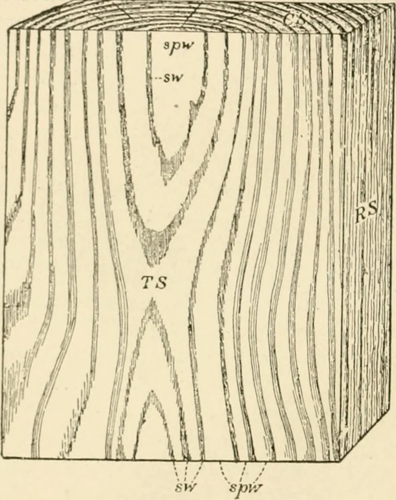 An illustration from Building construction and superintendence, by F.E. Kidder ..., 1896, leaf 15