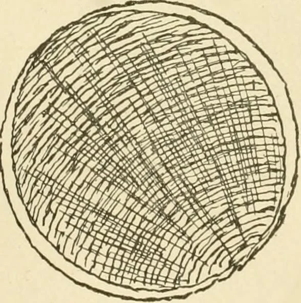 An illustration from Building construction and superintendence, by F.E. Kidder ..., 1896, leaf 26