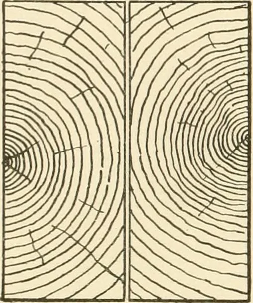 An illustration from Building construction and superintendence, by F.E. Kidder ..., 1896, leaf 27