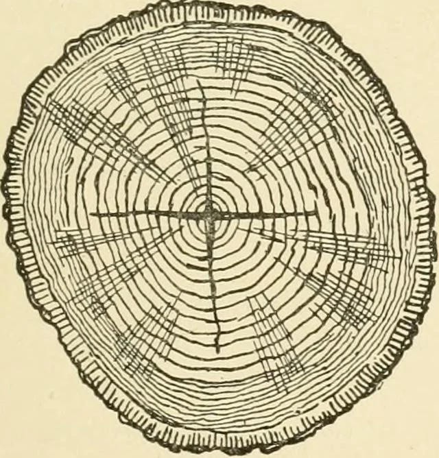 An illustration from Building construction and superintendence, by F.E. Kidder ..., 1896, leaf 28