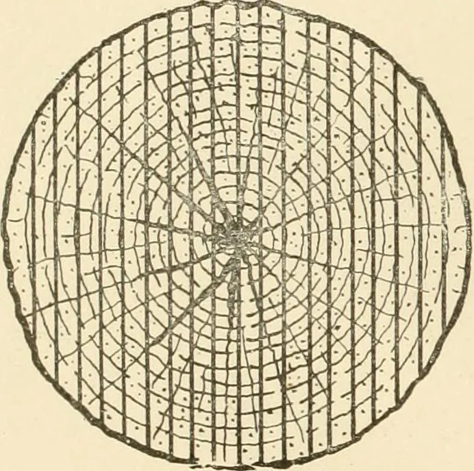 An illustration from Building construction and superintendence, by F.E. Kidder ..., 1896, leaf 29