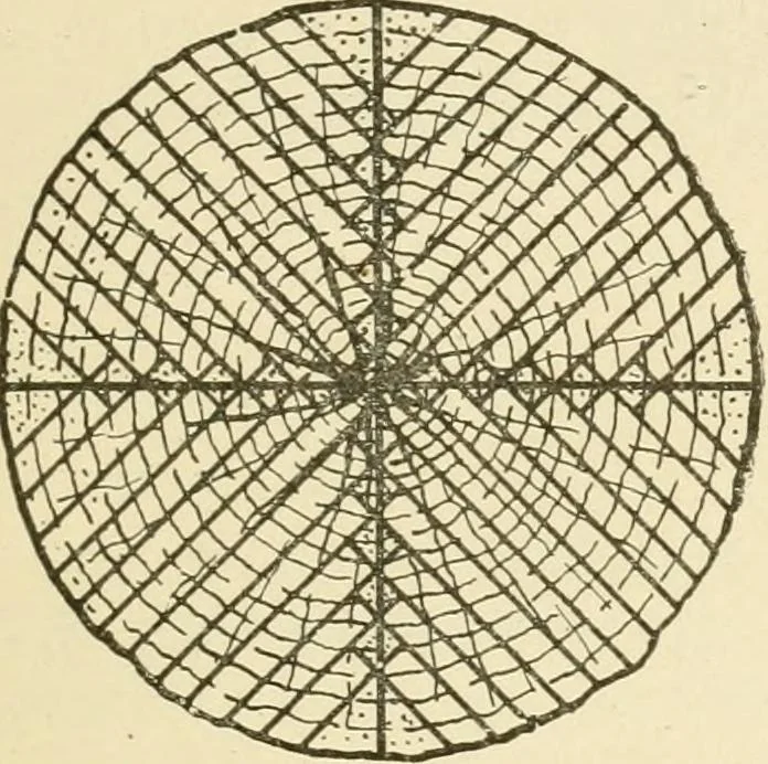 An illustration from Building construction and superintendence, by F.E. Kidder ..., 1896, leaf 30