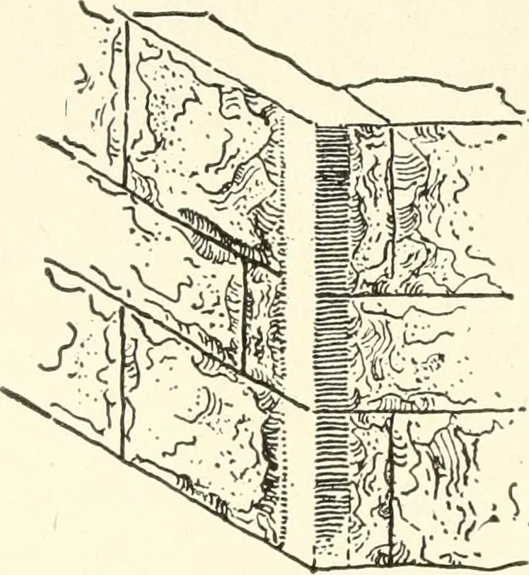 An illustration from Building construction and superintendence, 1909, leaf 299