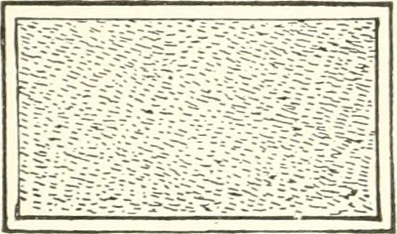 An illustration from Building construction and superintendence, 1909, leaf 300