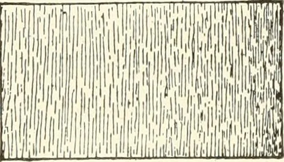 An illustration from Building construction and superintendence, 1909, leaf 301