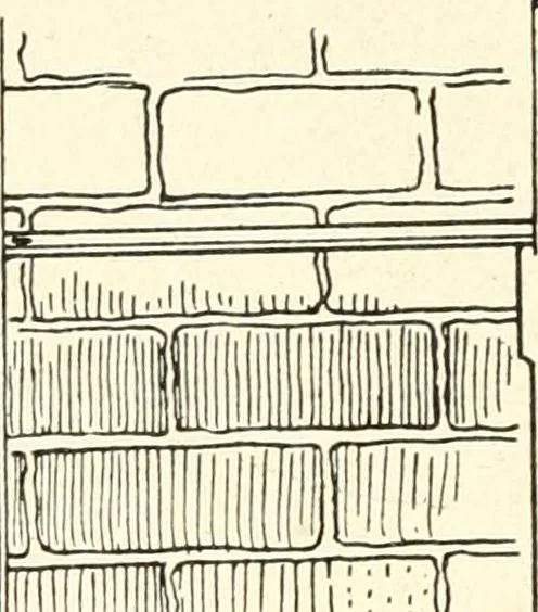 An illustration from Building construction and superintendence, 1909, leaf 601