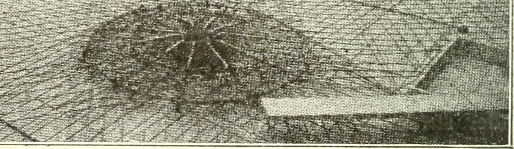 An illustration from Building construction and superintendence, 1909, leaf 741