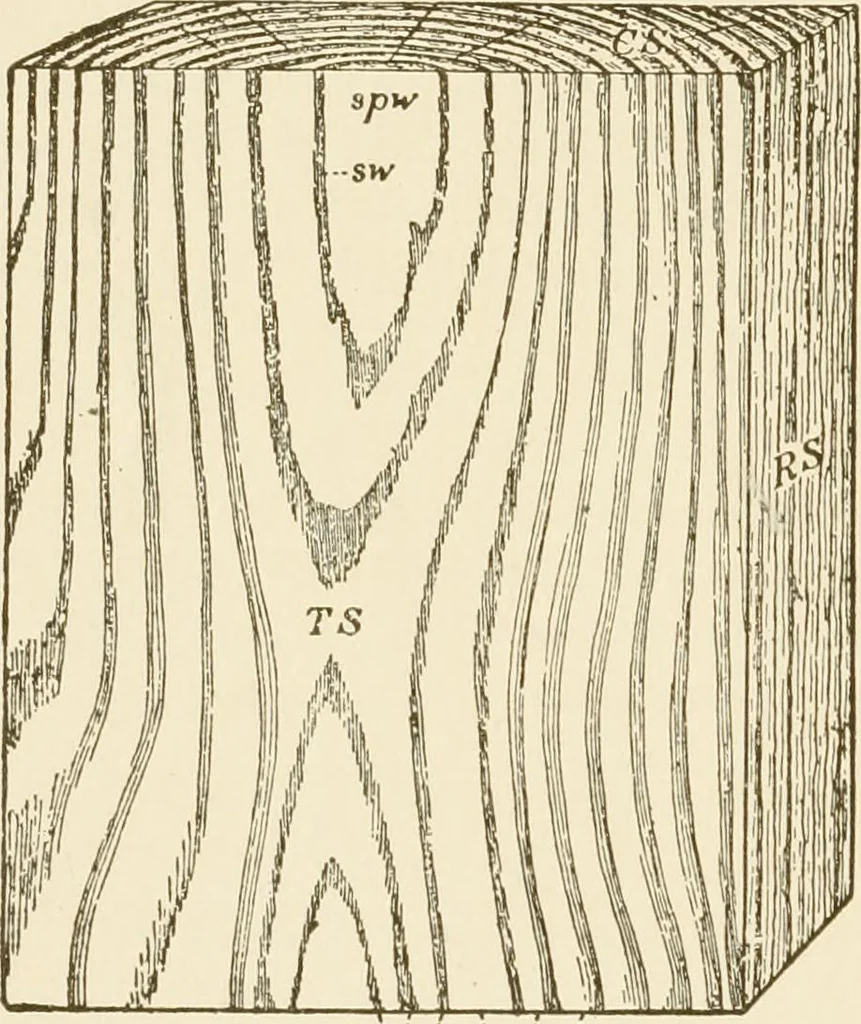An illustration from Building construction and superintendence, 1909, leaf 15