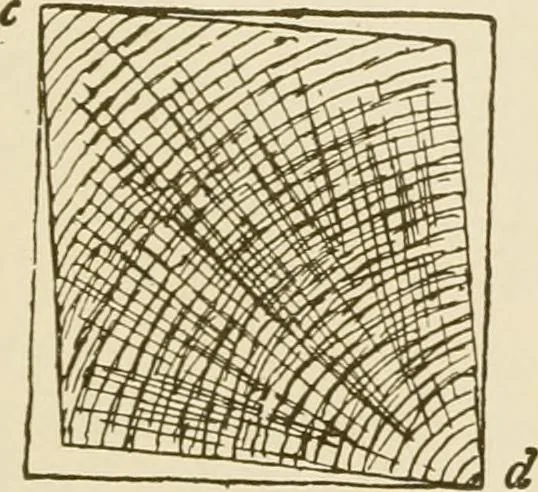 An illustration from Building construction and superintendence, 1909, leaf 26