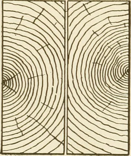 An illustration from Building construction and superintendence, 1909, leaf 27