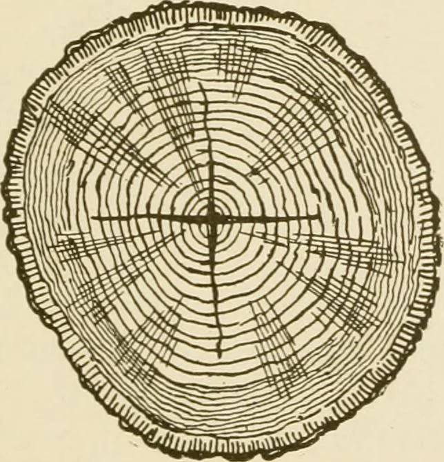 An illustration from Building construction and superintendence, 1909, leaf 28