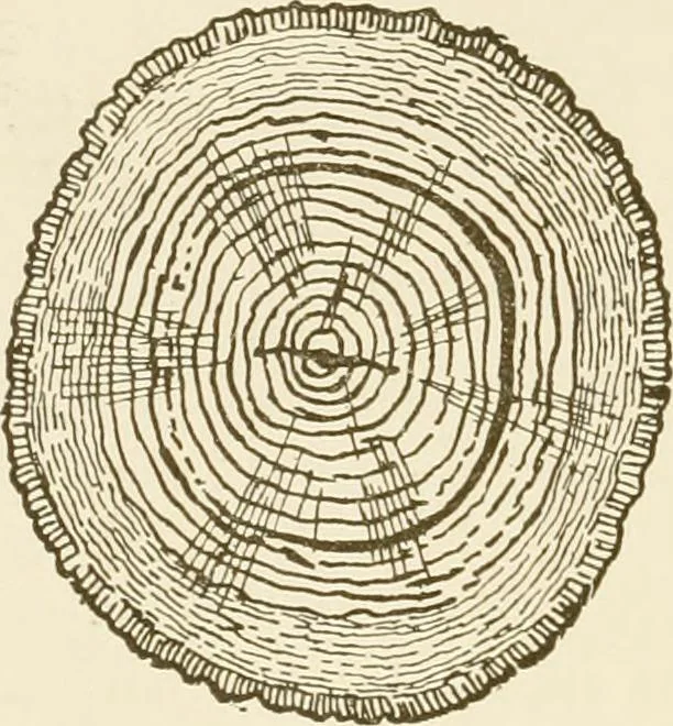 An illustration from Building construction and superintendence, 1909, leaf 29