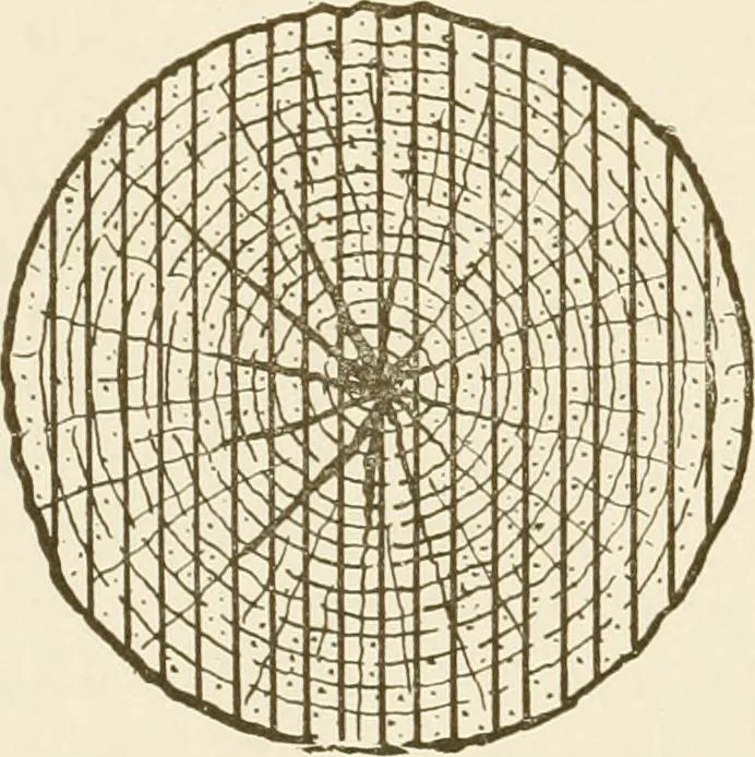 An illustration from Building construction and superintendence, 1909, leaf 29
