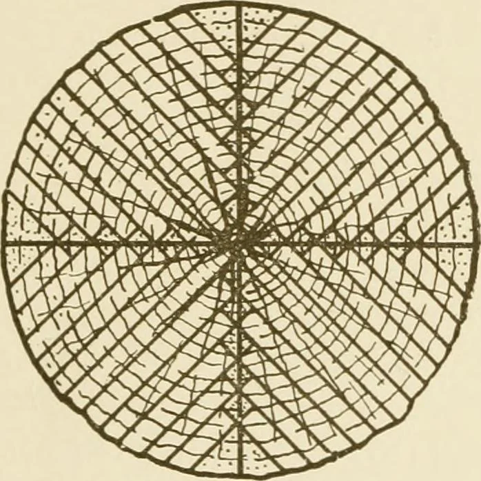 An illustration from Building construction and superintendence, 1909, leaf 30