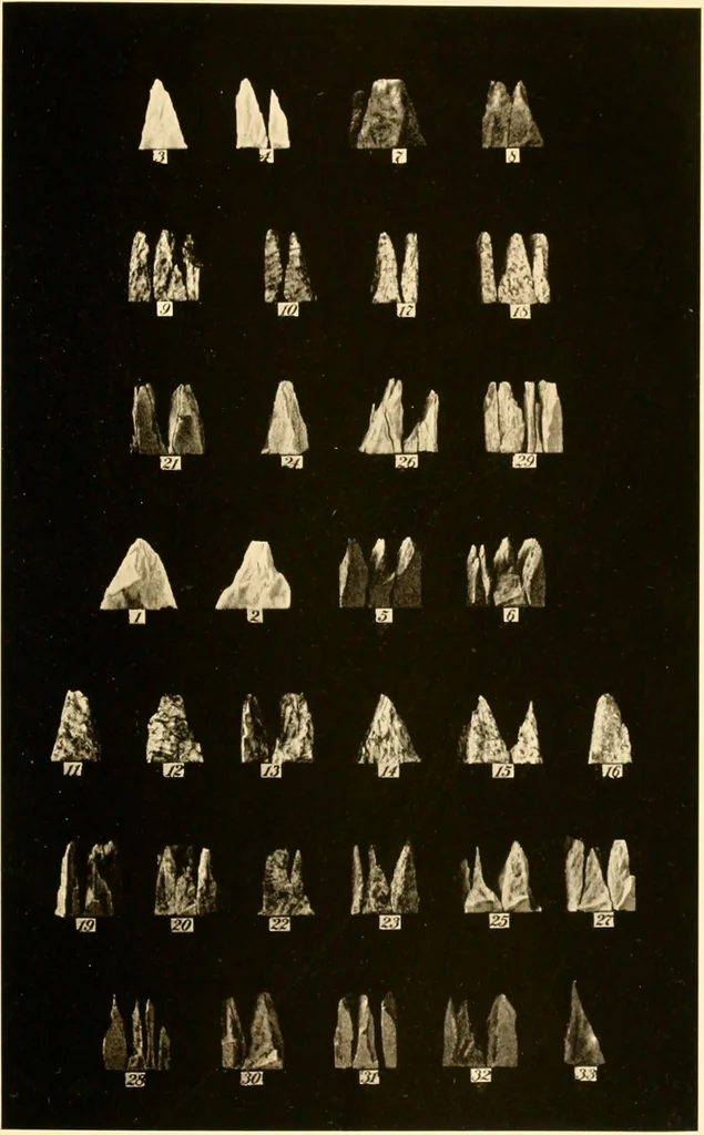 An illustration from The building and decorative stones of Maryland, containing an account of their properties and distribution, 1898, leaf 72
