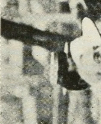 An illustration from Building the emergency fleet; a historical narrative of the problems and achievements of the United States shipping board emergency fleet corporation, 1920, leaf 239