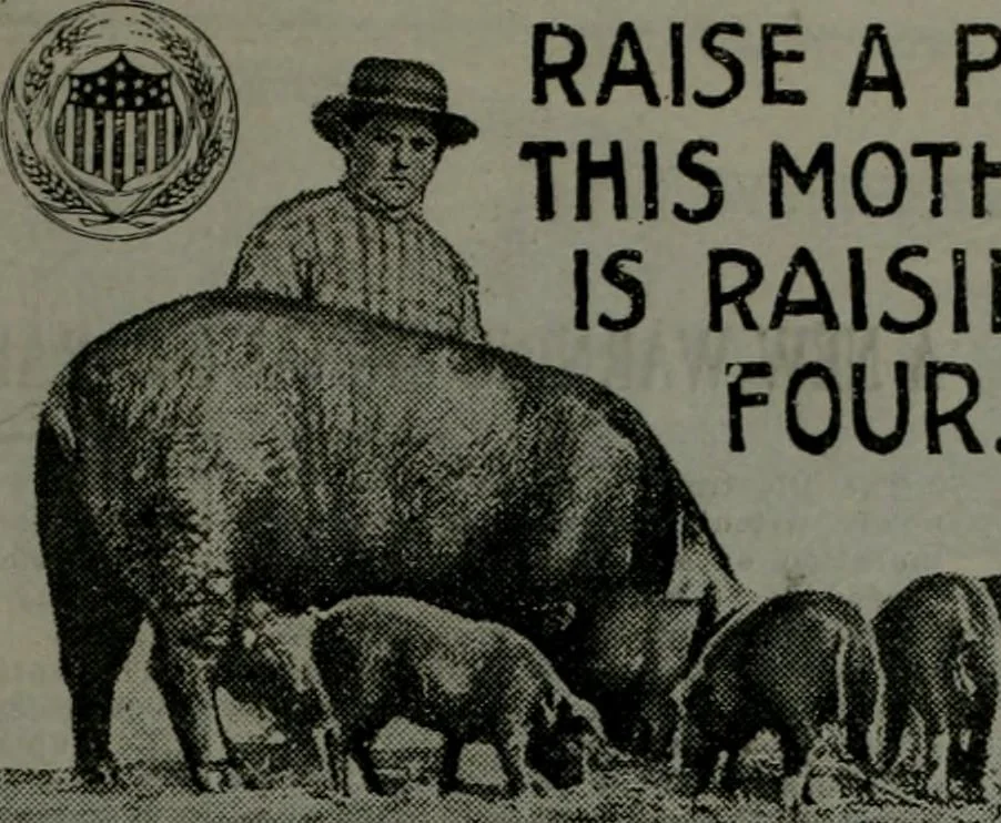 An illustration from Building & engineering news, 1914, leaf 146