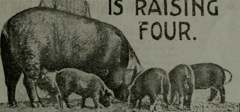 An illustration from Building & engineering news, 1914, leaf 170