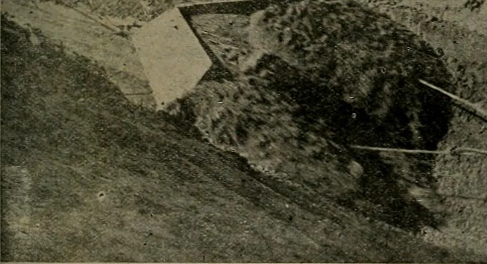 An illustration from Building & engineering news, 1914, leaf 416