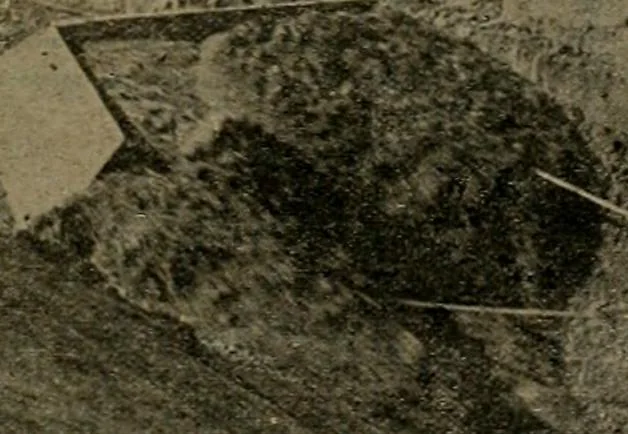 An illustration from Building & engineering news, 1914, leaf 448