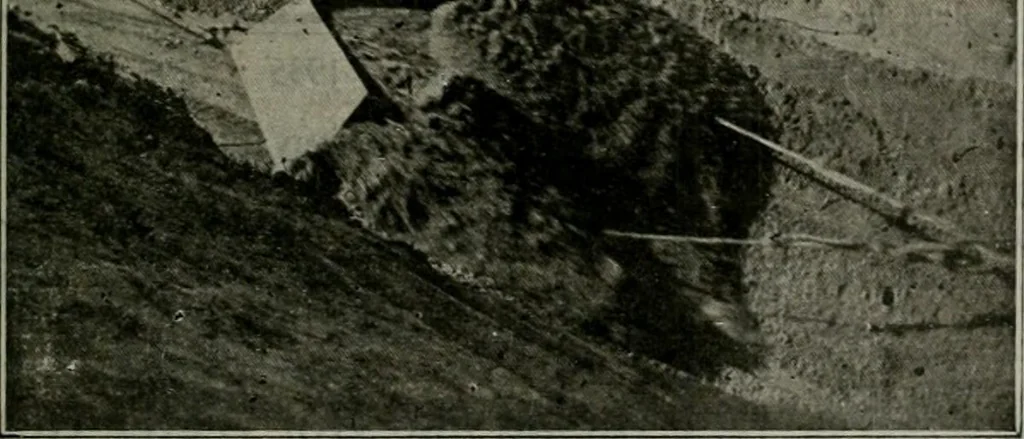 An illustration from Building & engineering news, 1914, leaf 640