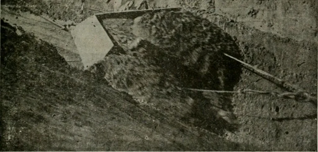 An illustration from Building & engineering news, 1914, leaf 768