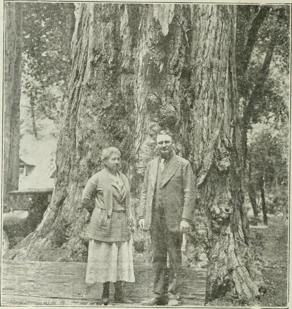 An illustration from Building & engineering news, 1914, leaf 141