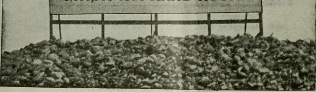 An illustration from Building & engineering news, 1914, leaf 231