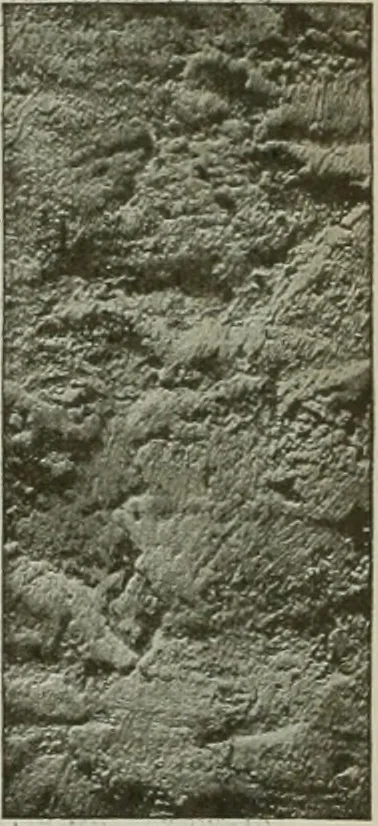 An illustration from Building & engineering news, 1914, leaf 750