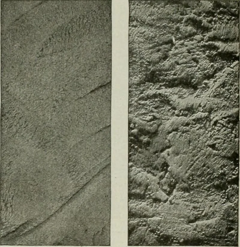 An illustration from Building & engineering news, 1914, leaf 520