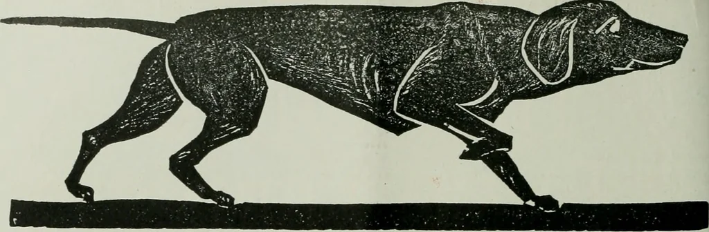 An illustration from Building & engineering news, 1914, leaf 445