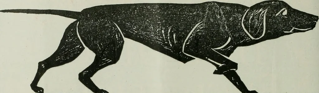An illustration from Building & engineering news, 1914, leaf 547